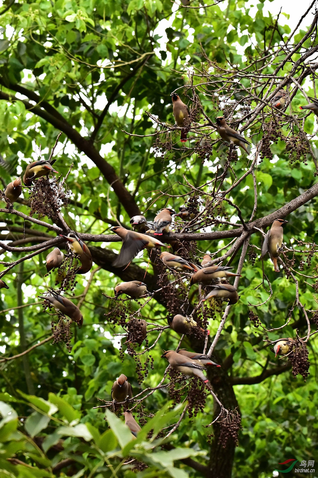 DSC_0010.JPG