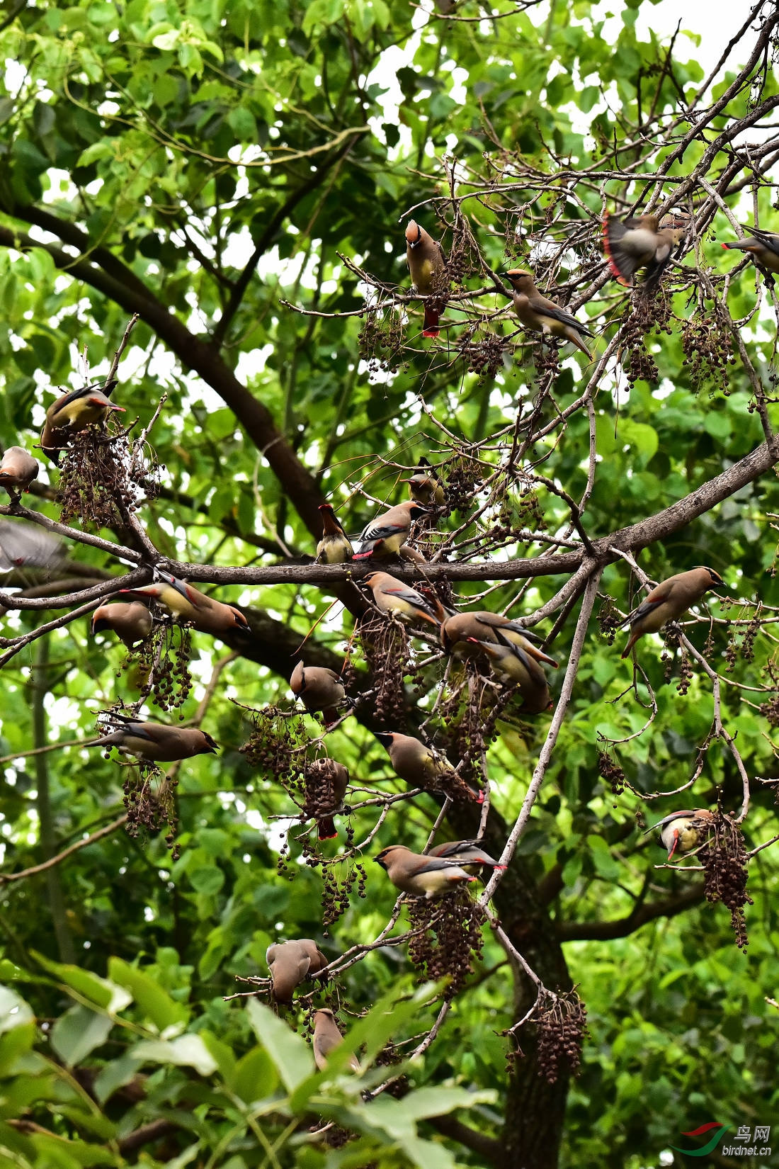 DSC_0011.JPG
