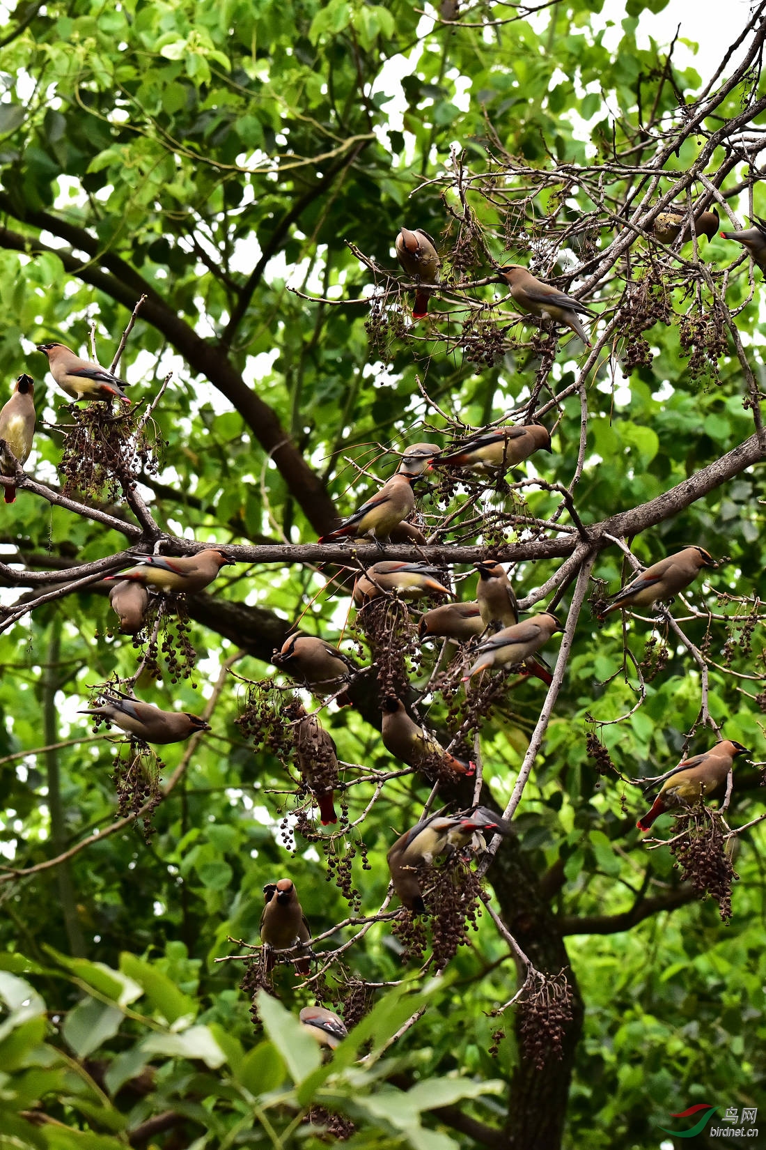 DSC_0013.JPG
