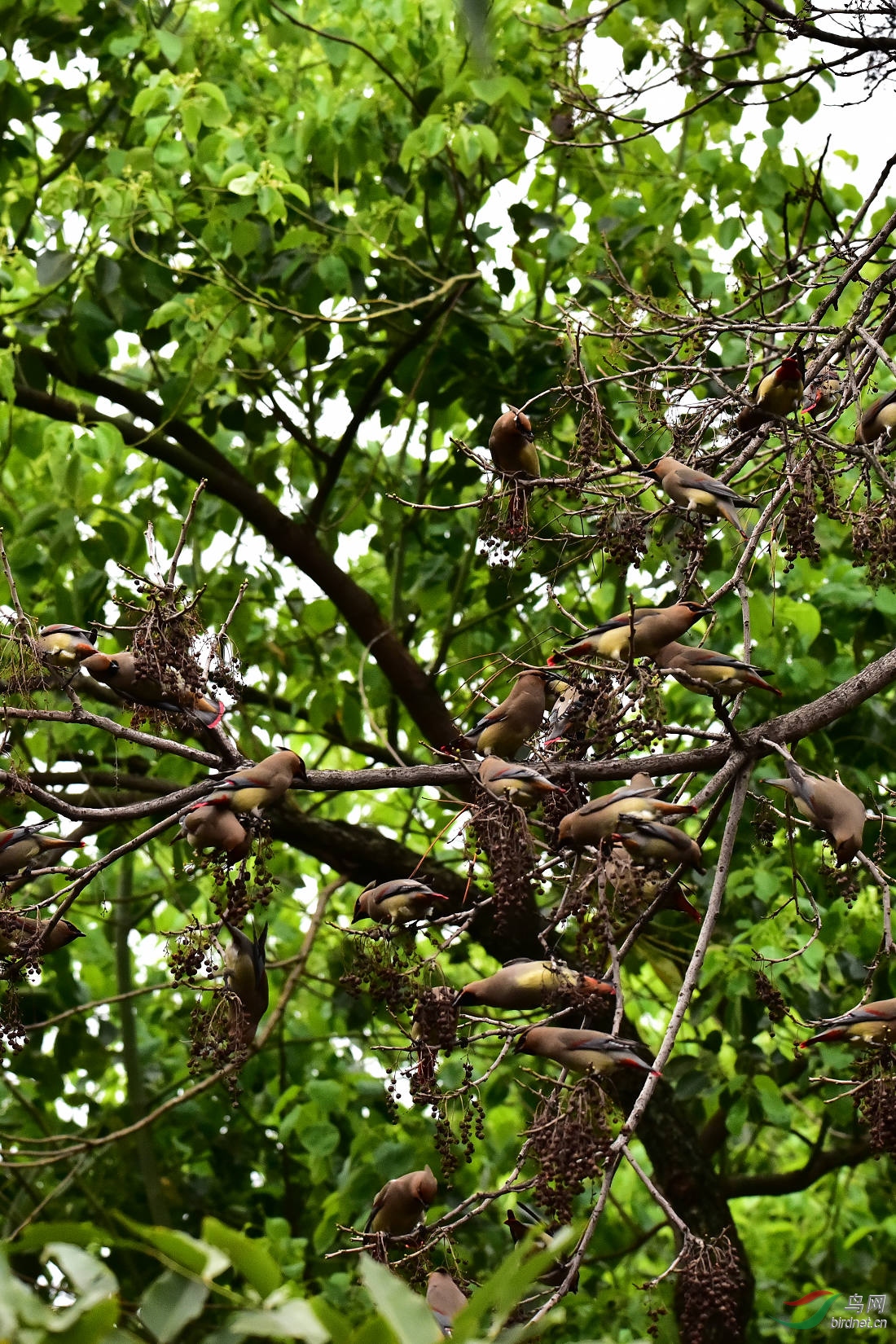 DSC_0016.JPG
