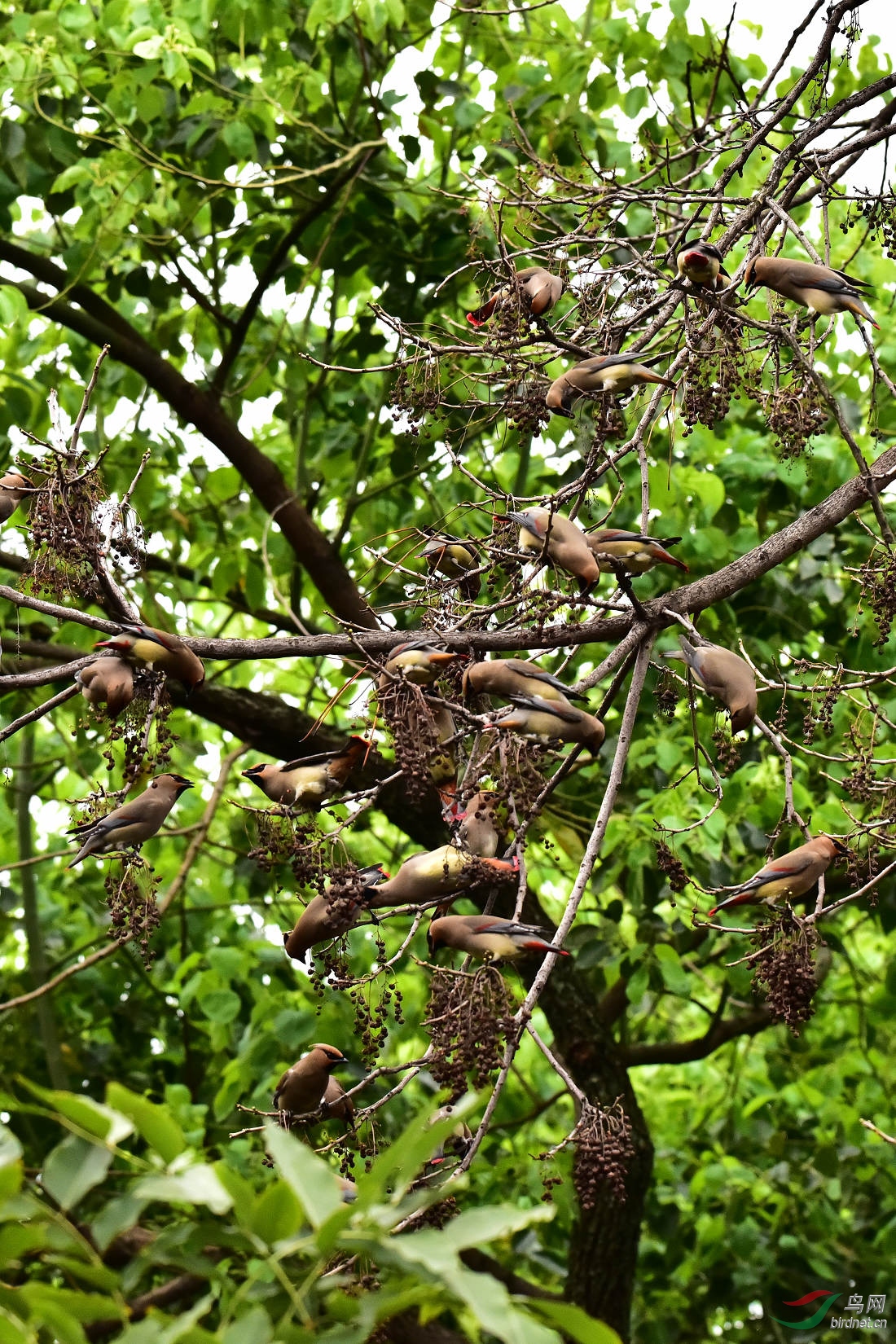 DSC_0021.JPG