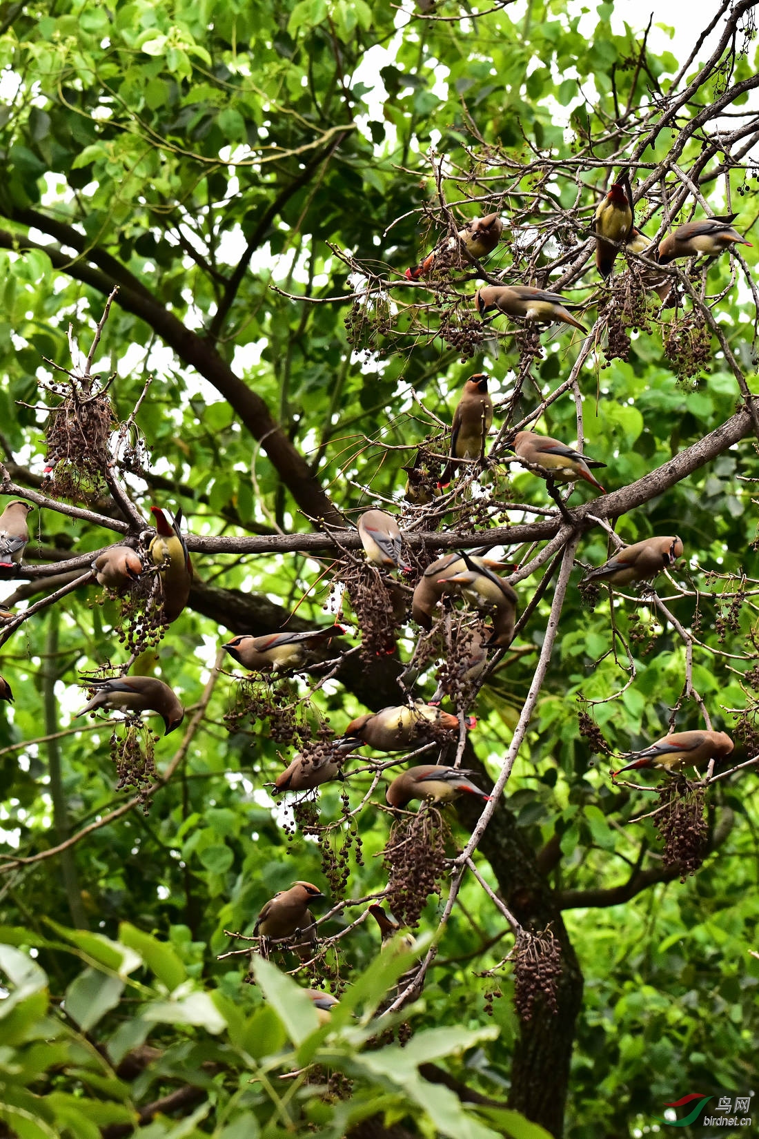 DSC_0022.JPG