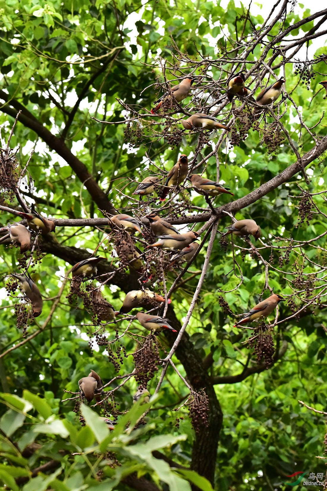 DSC_0023.JPG