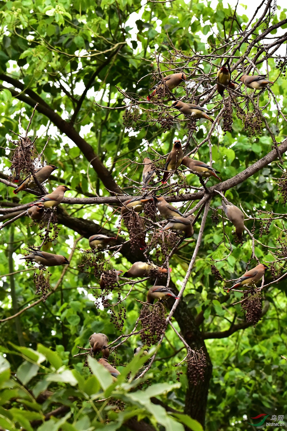 DSC_0024.JPG