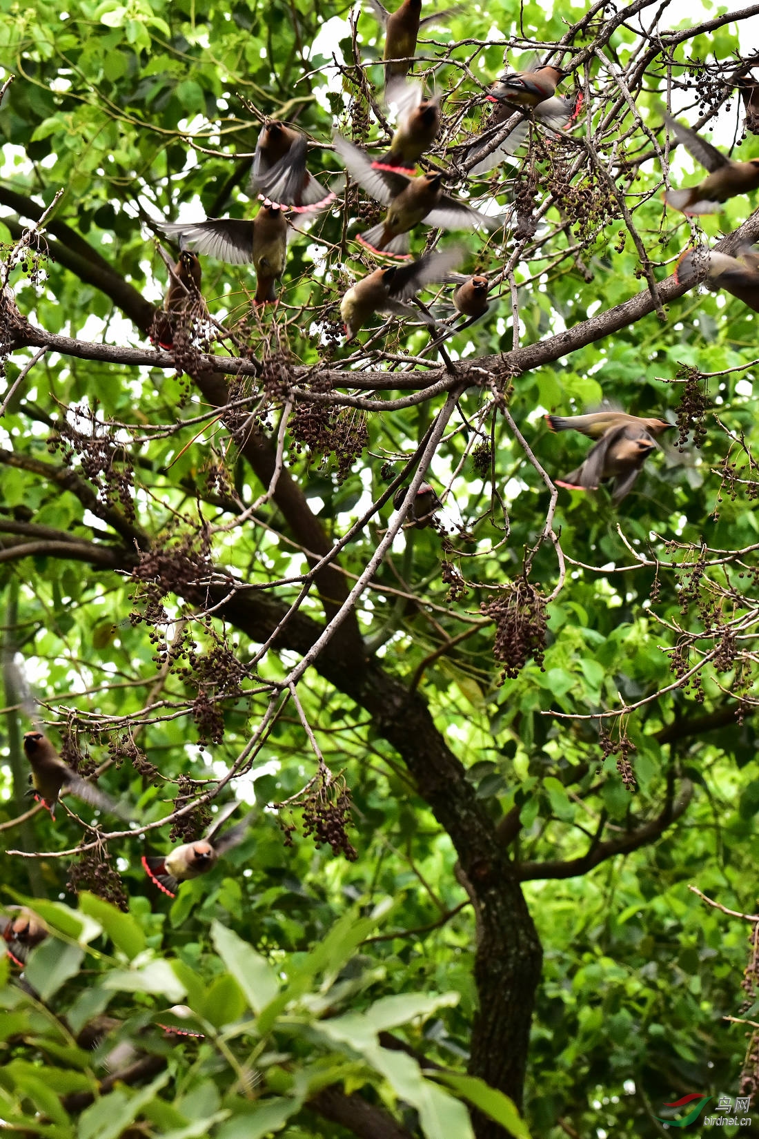 DSC_0027.JPG