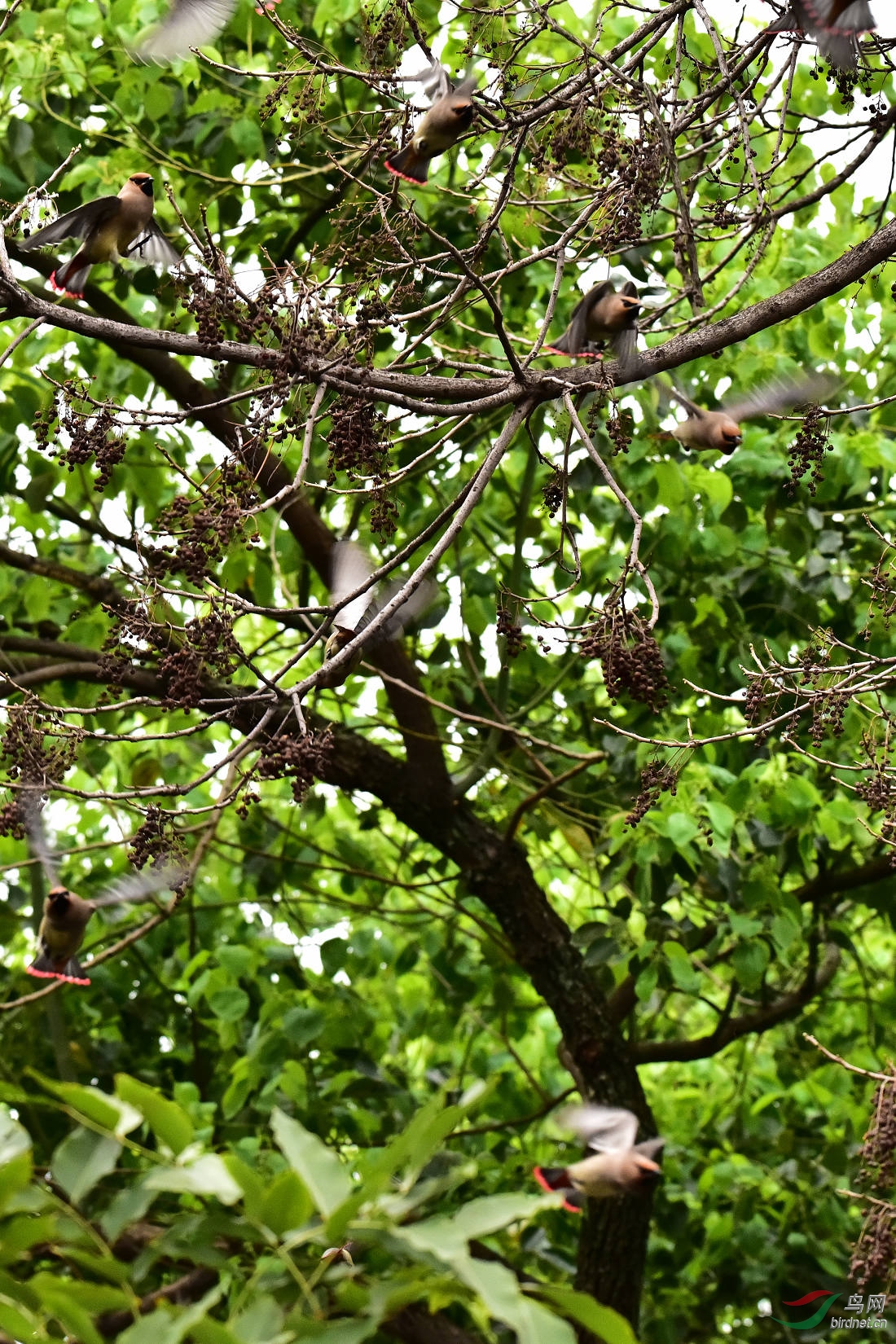 DSC_0028.JPG