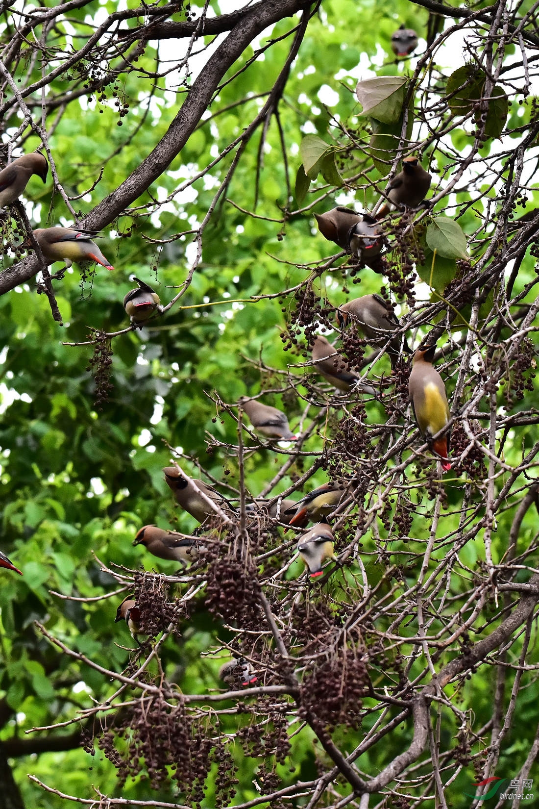 DSC_0032.JPG