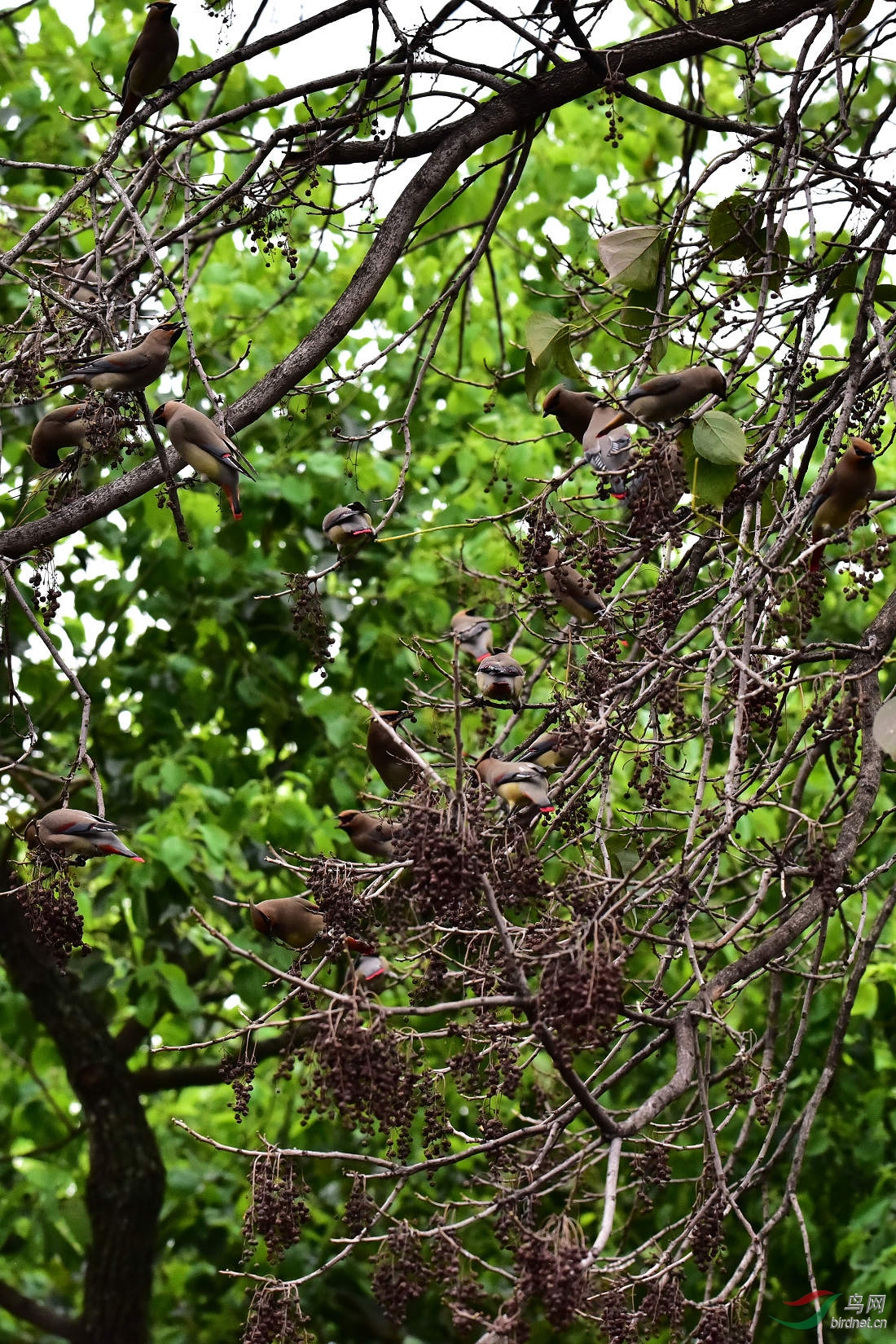 DSC_0034.JPG