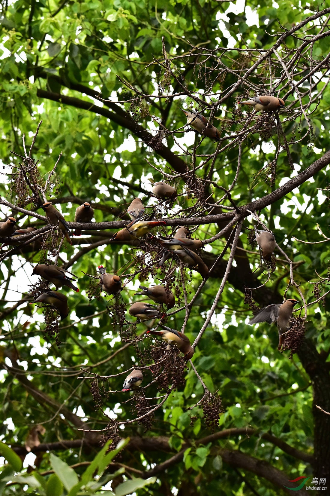 DSC_0041.JPG