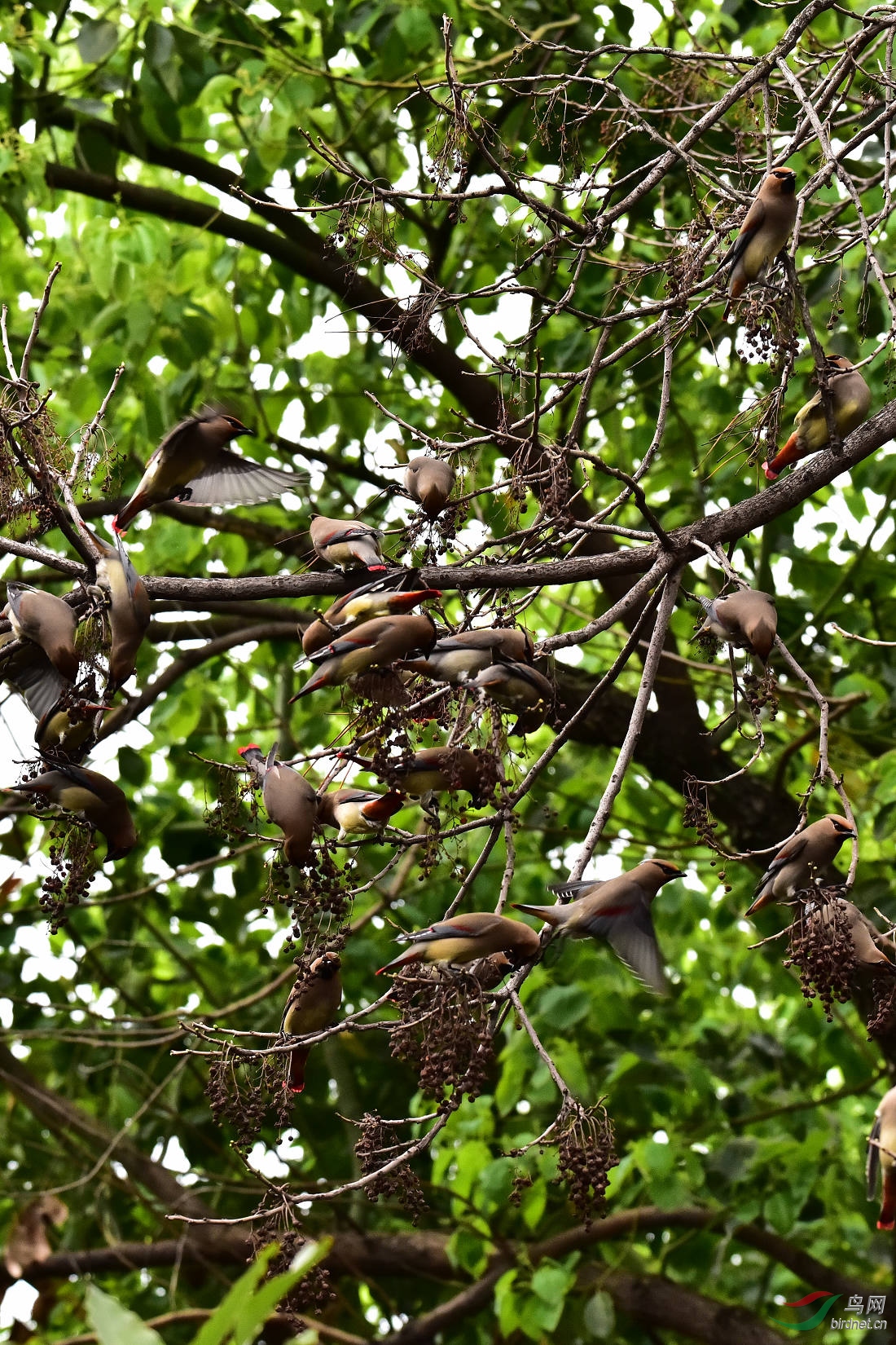 DSC_0045.JPG