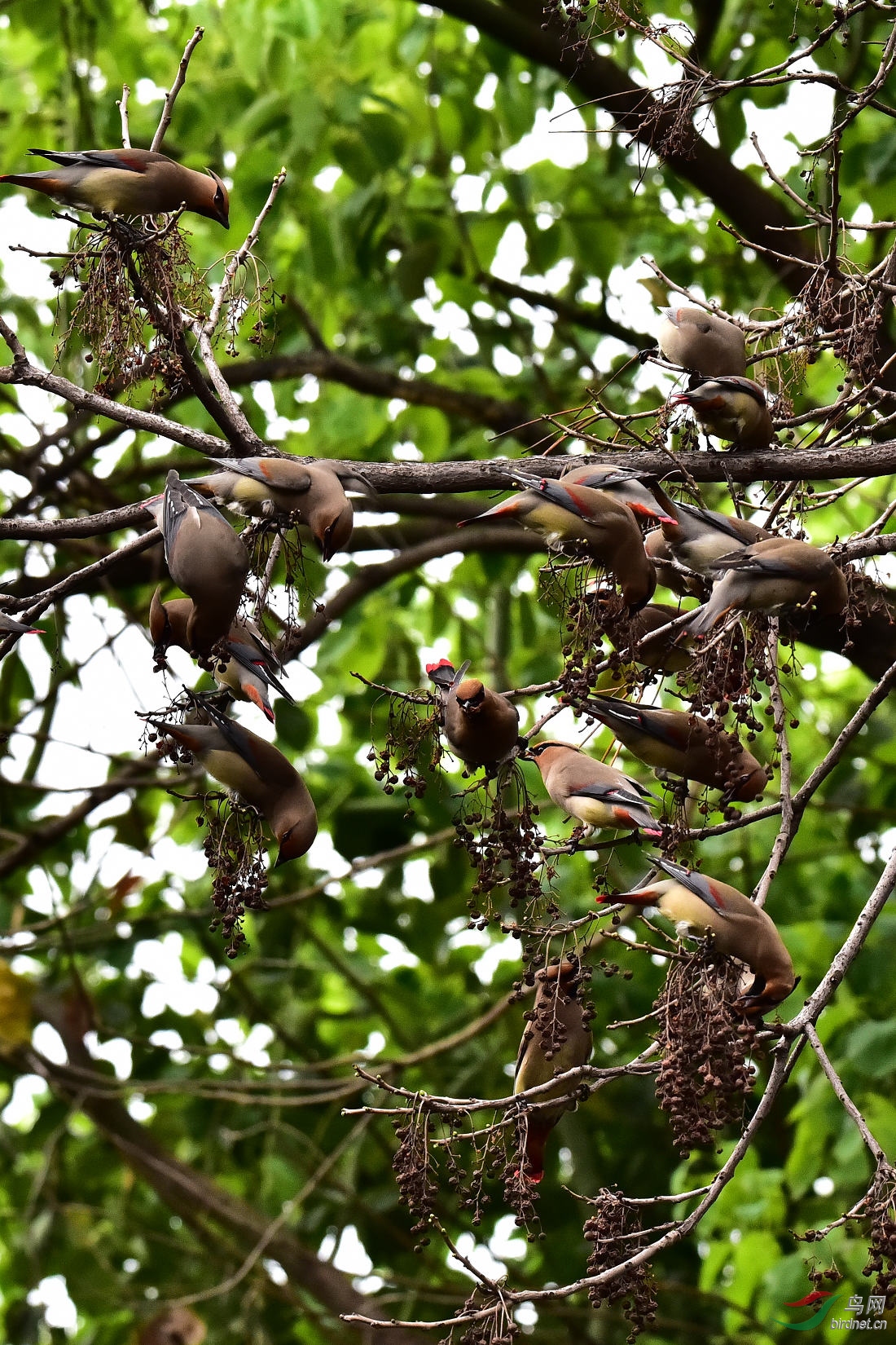 DSC_0049.JPG