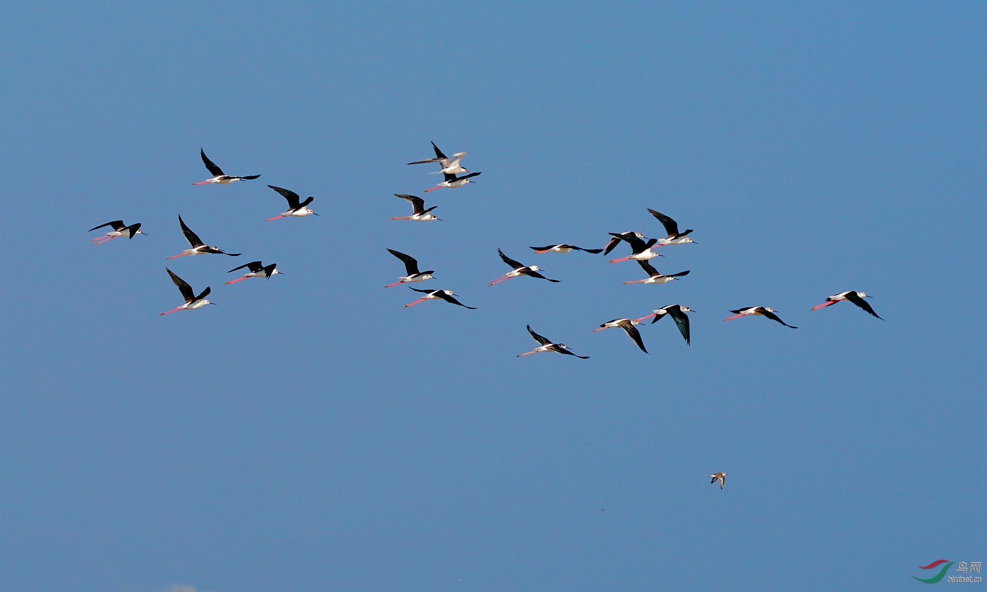 1 DSC04470_����_����.jpg