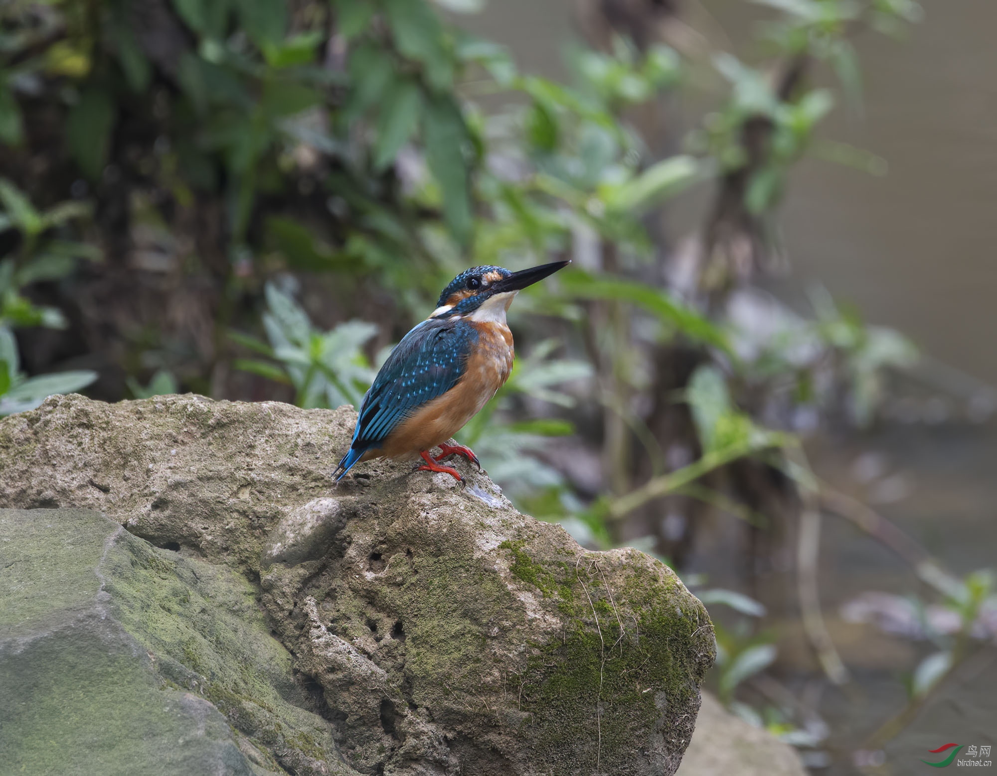 DSC_4447.jpg