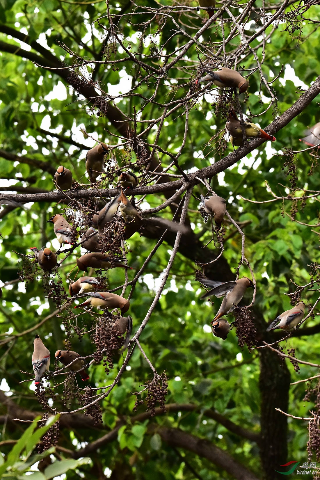 DSC_0055.JPG