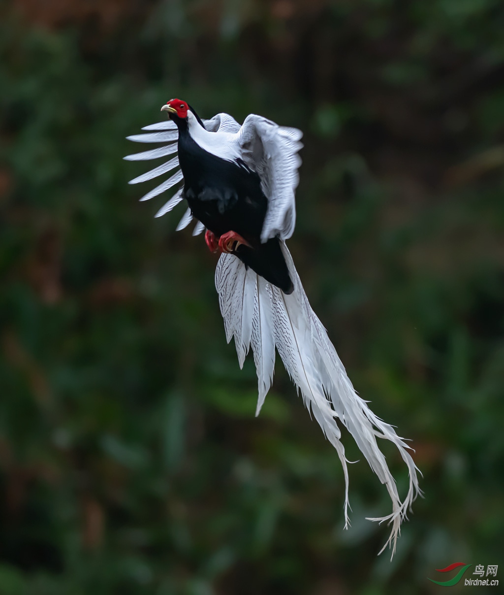 DSC_8440.jpg