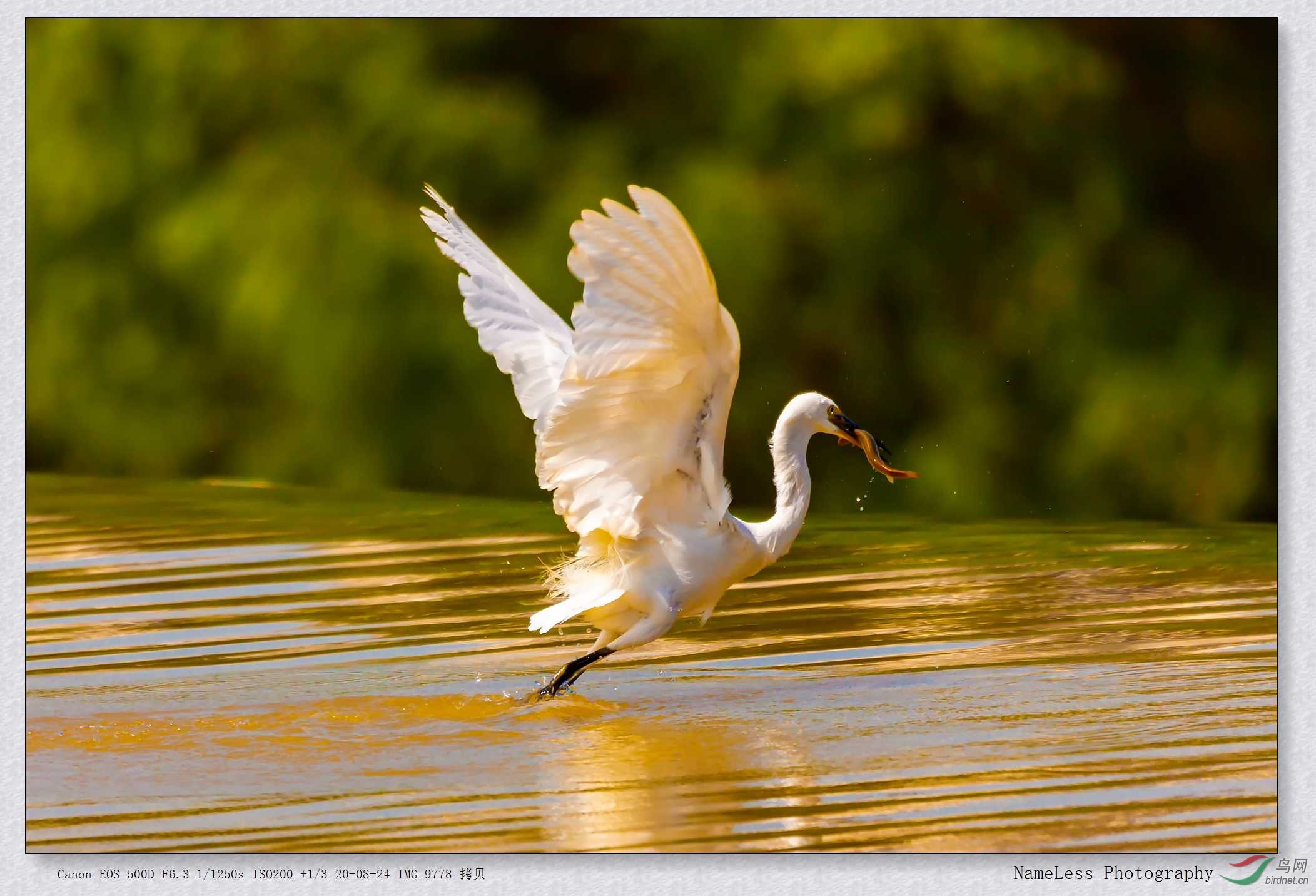 IMG_9778 ����.jpg