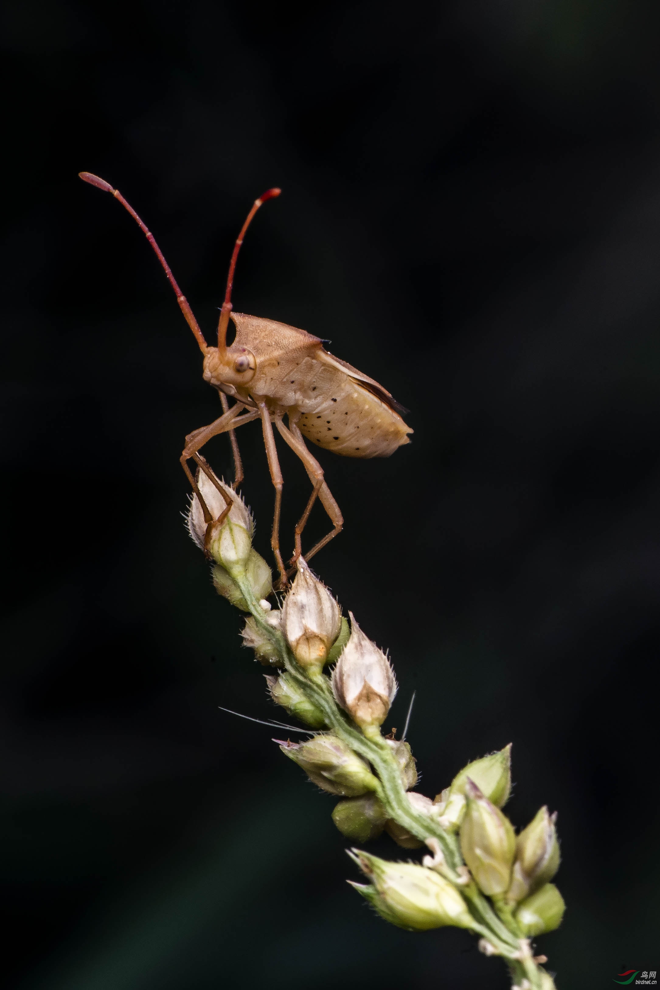 DSC_9456.jpg