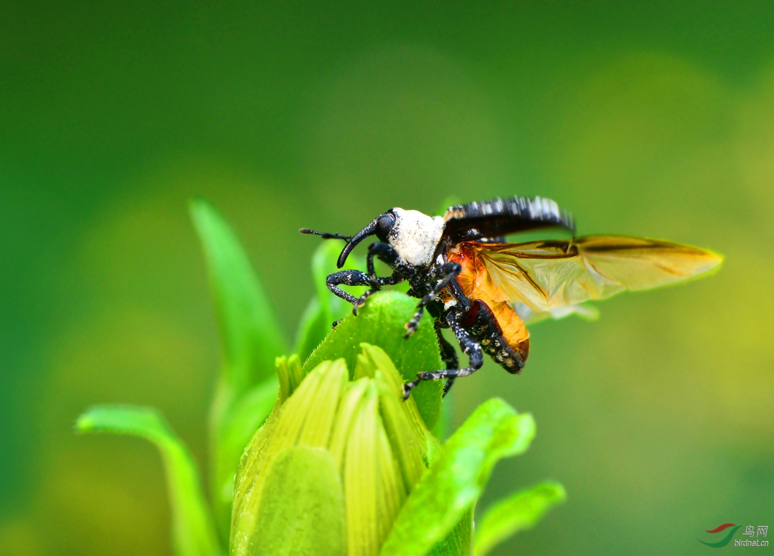 DSC_8602 �������� ��������.jpg