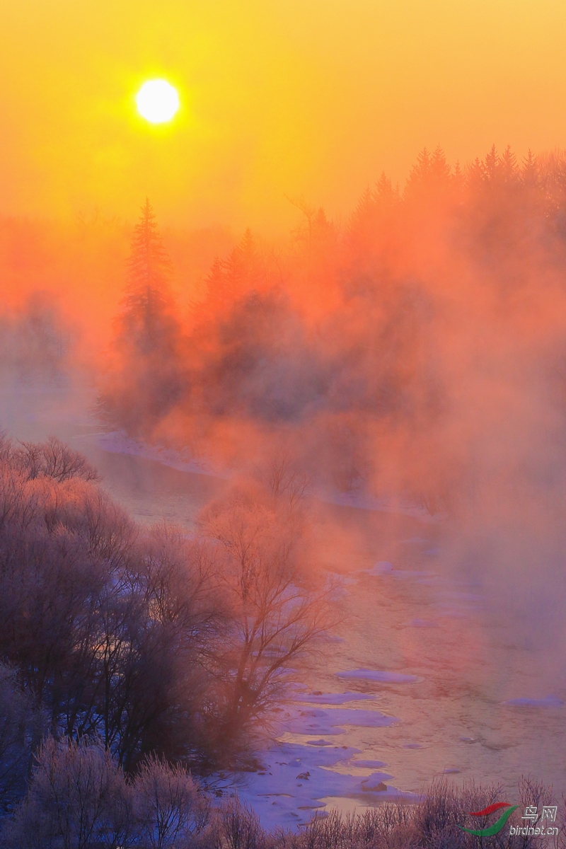 �����ճ�