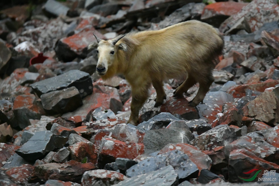 DSC_5090.JPG