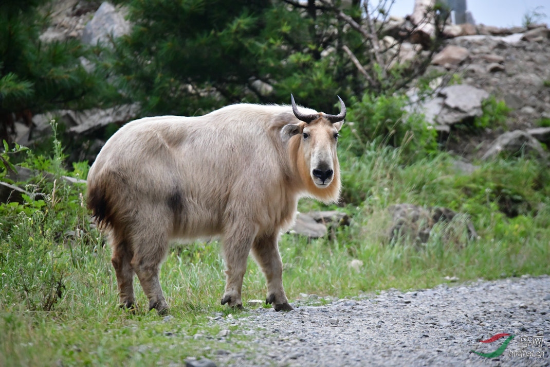 DSC_5201.JPG