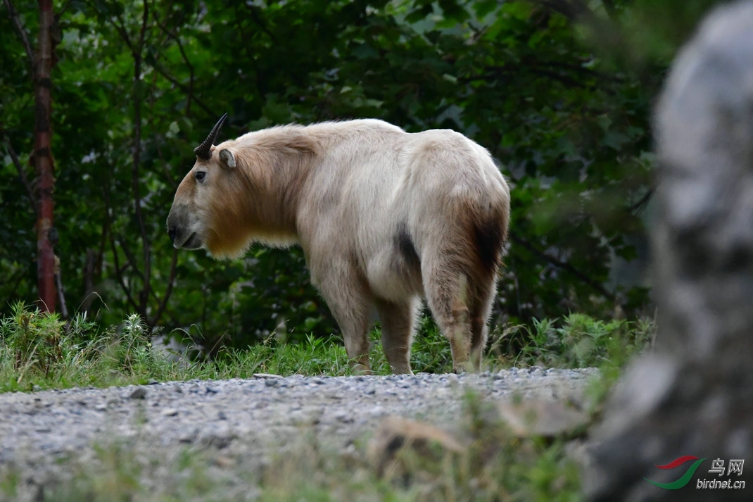 DSC_5238.JPG