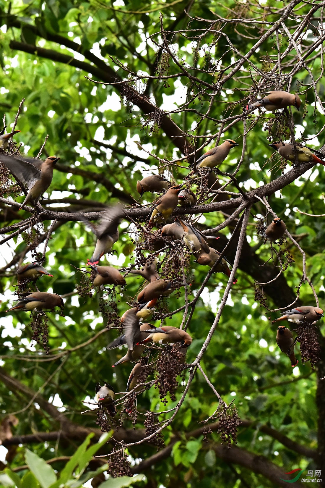 DSC_0060.JPG
