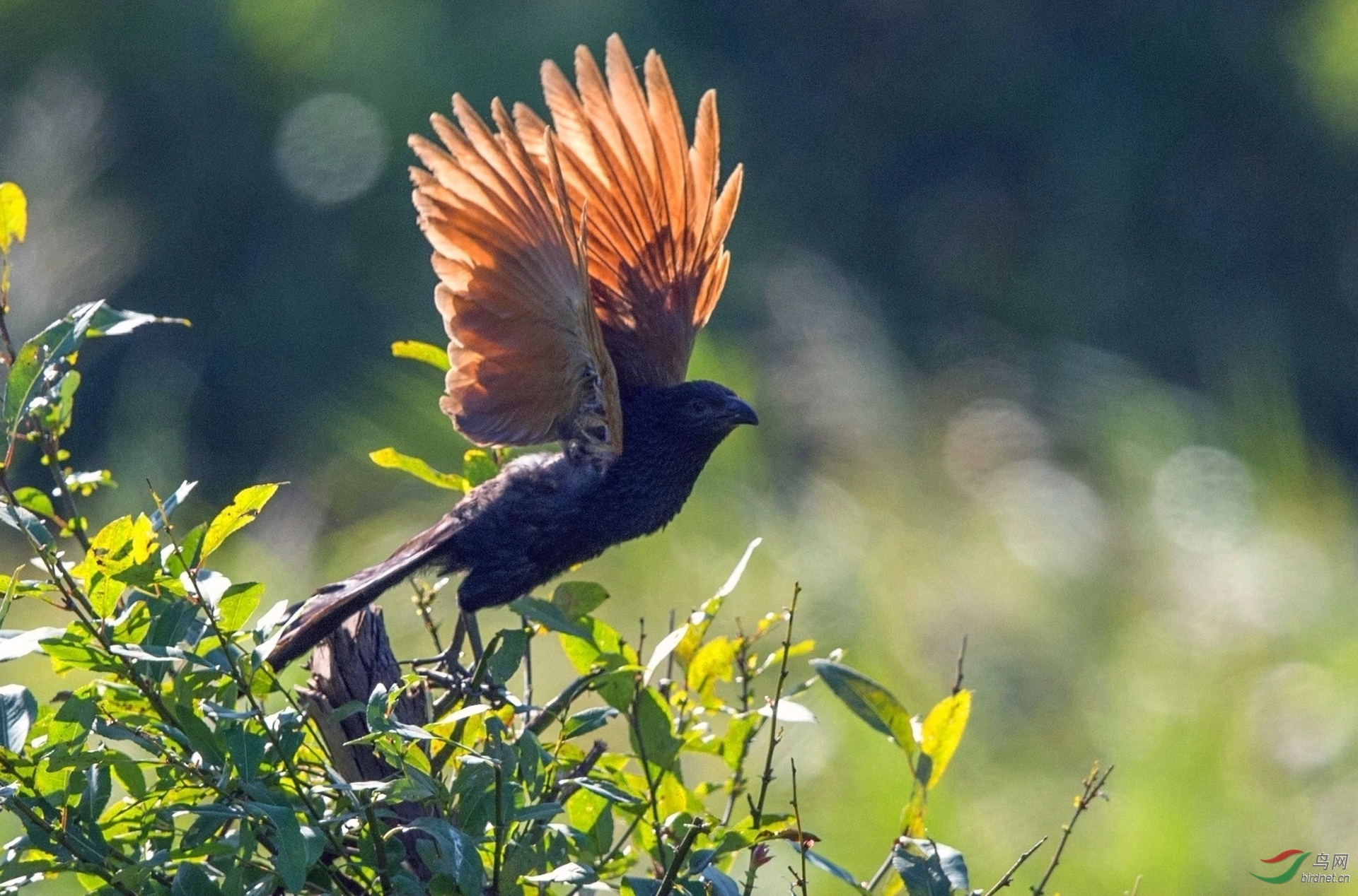 BW4Q5892 - ���� - ���� - ���� - ����_���� - ���� - ����.jpg