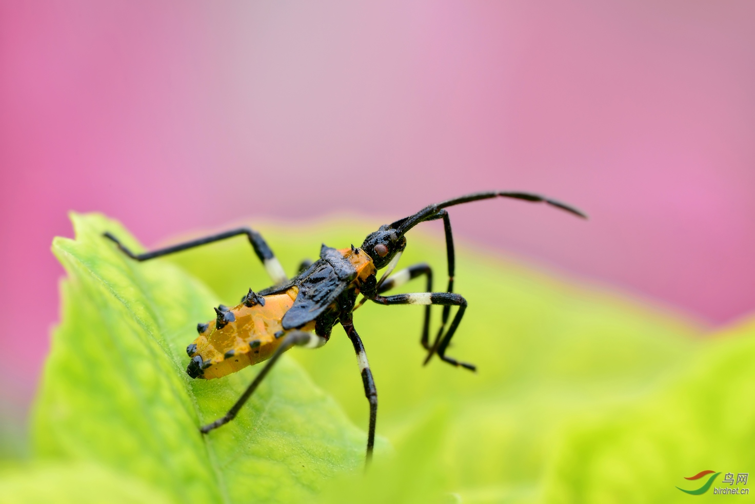 DSC_4797 ��������.jpg