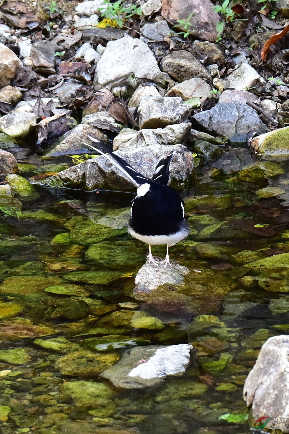 DSC_1193.JPG