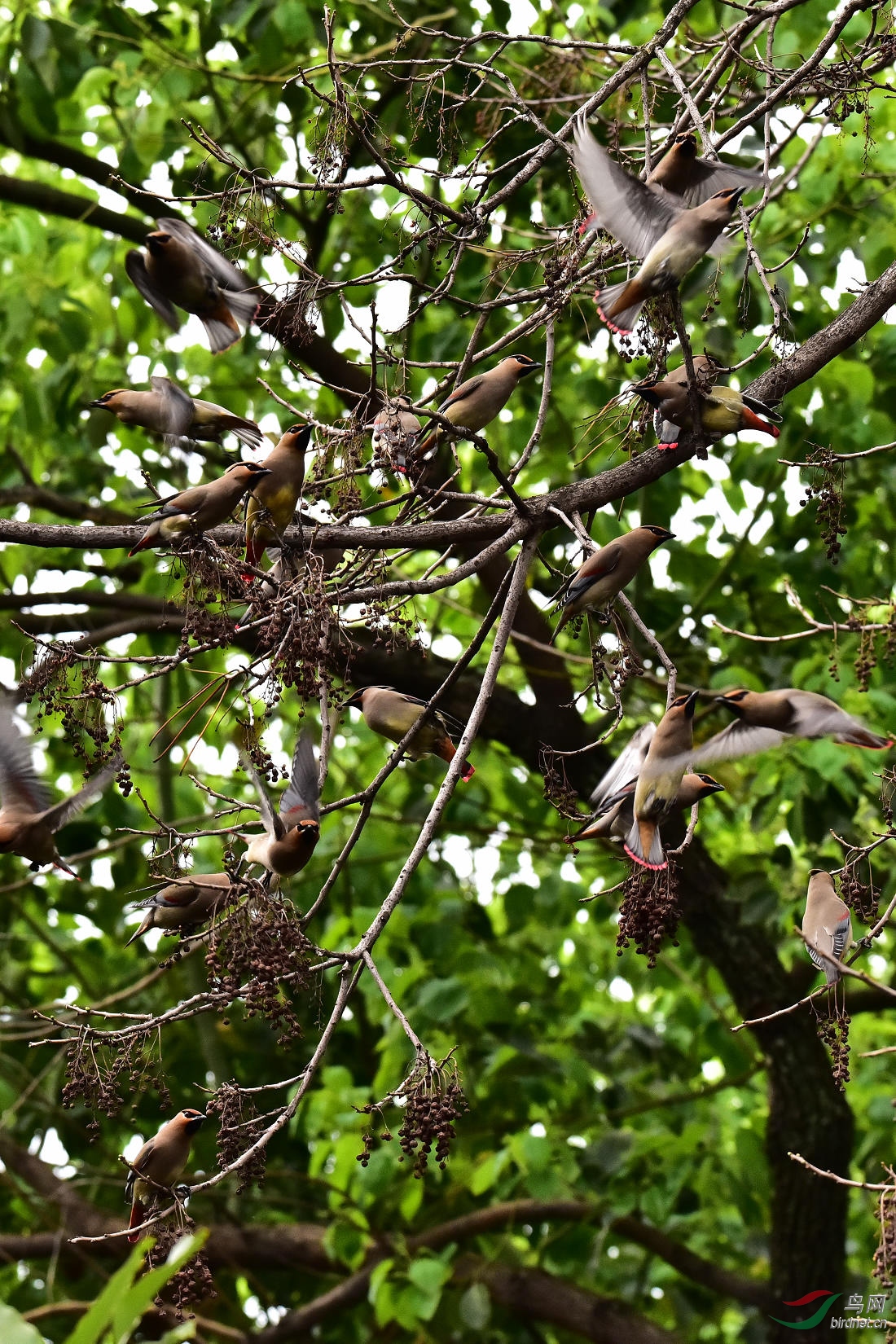 DSC_0064.JPG