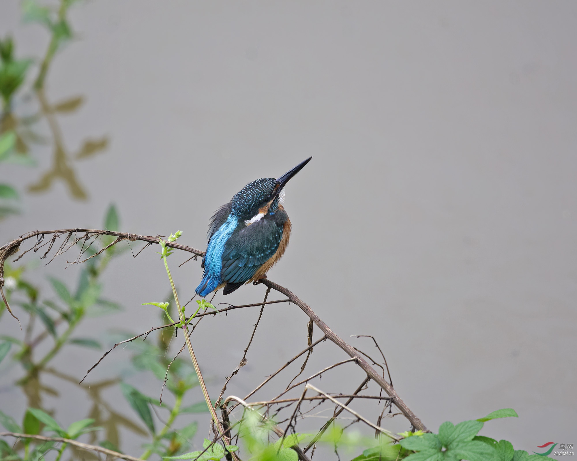 DSC_4344.jpg