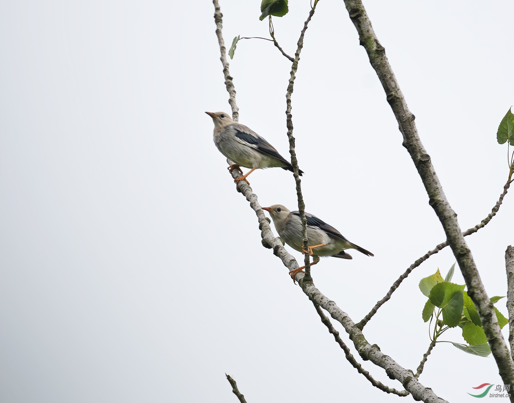 DSC_4284.jpg