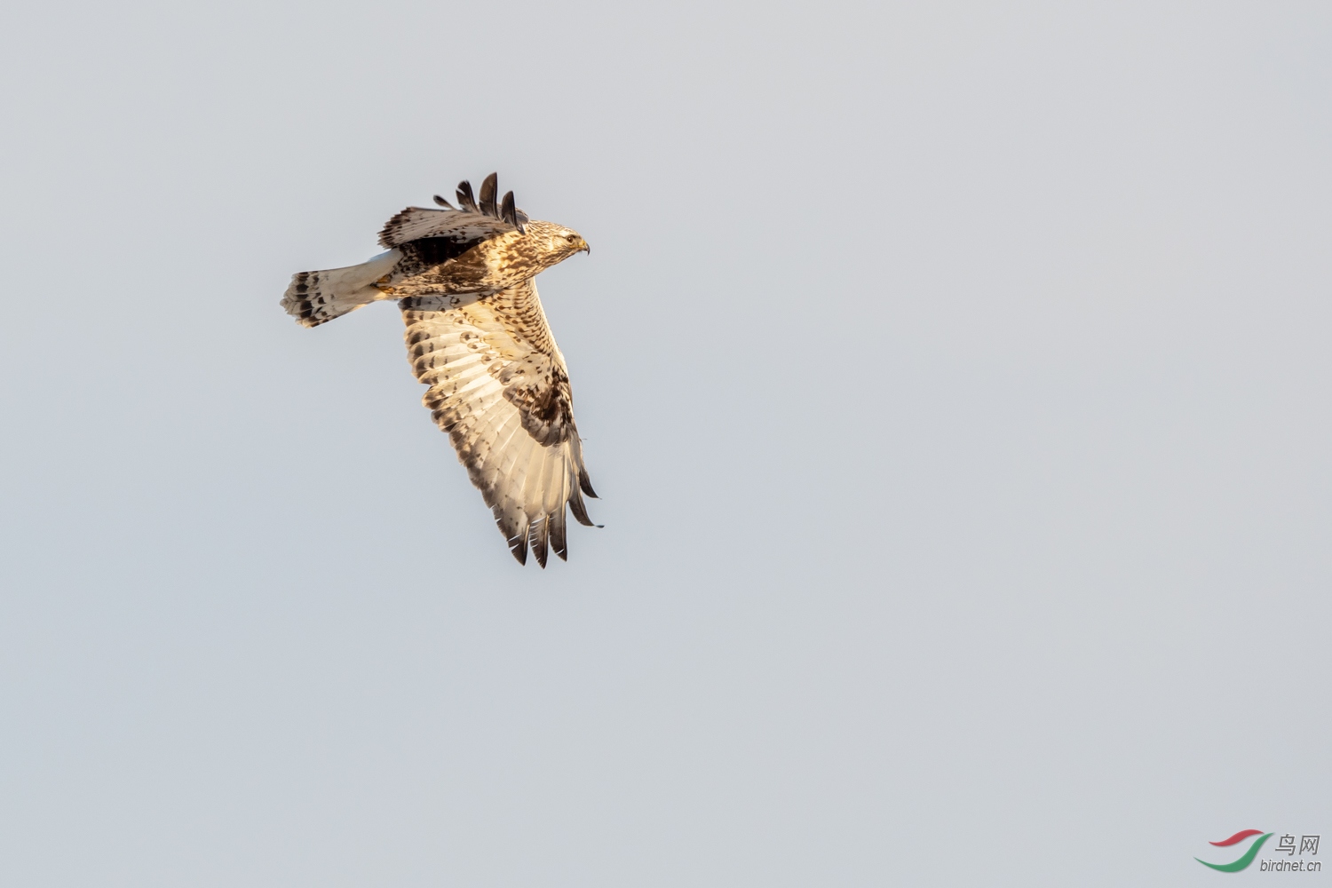 DSC_8689_1.jpg