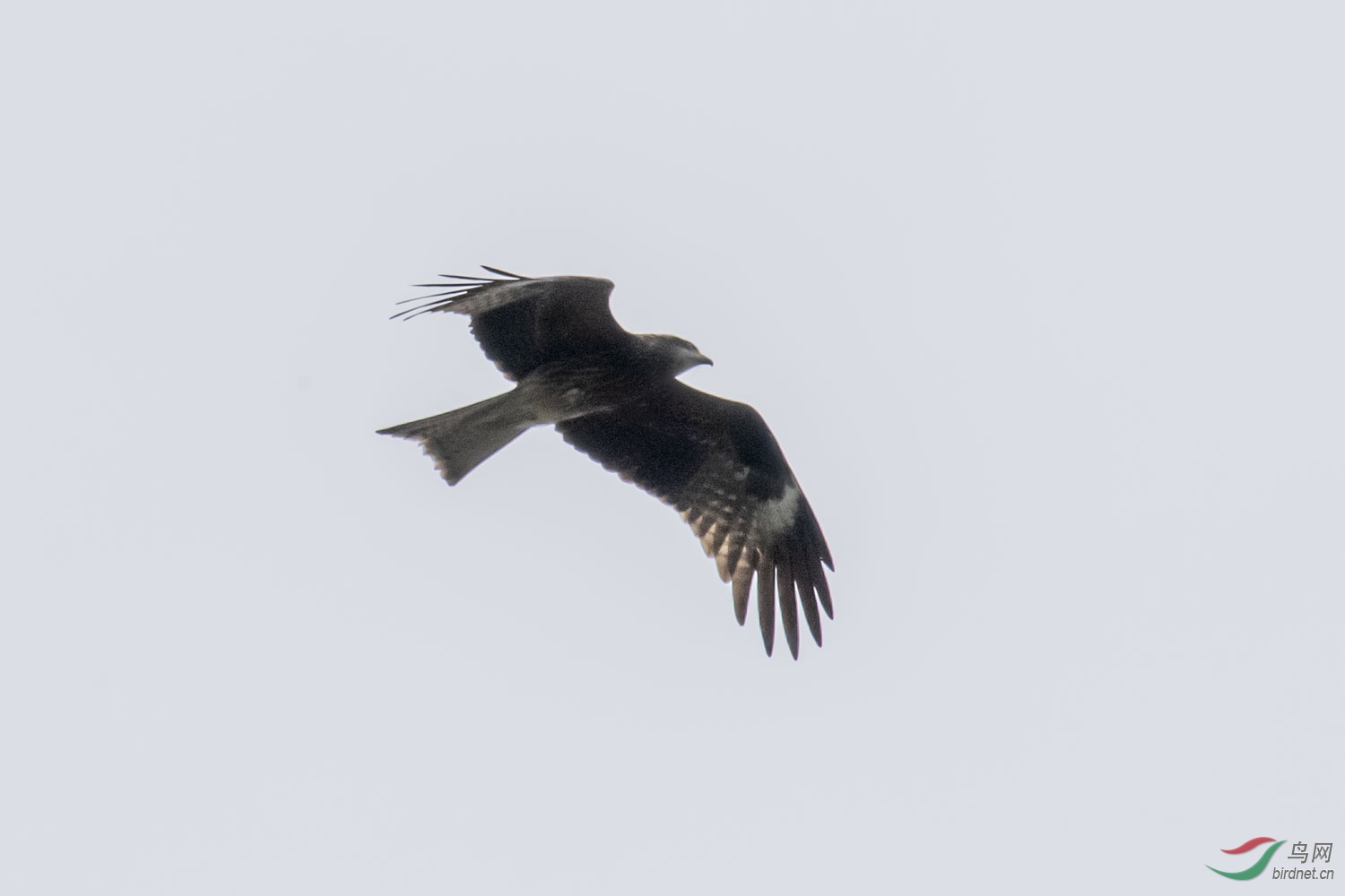 DSC_1846.JPG