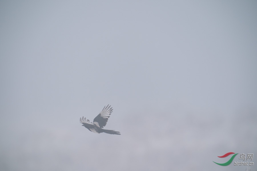 DSC00722.jpg