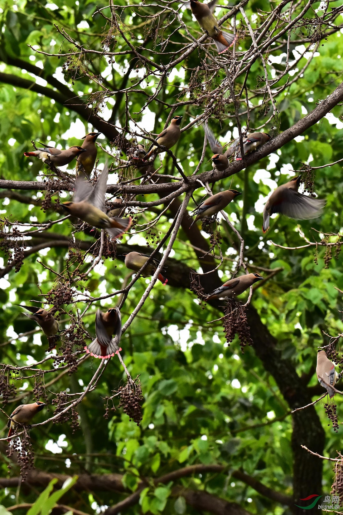 DSC_0065.JPG