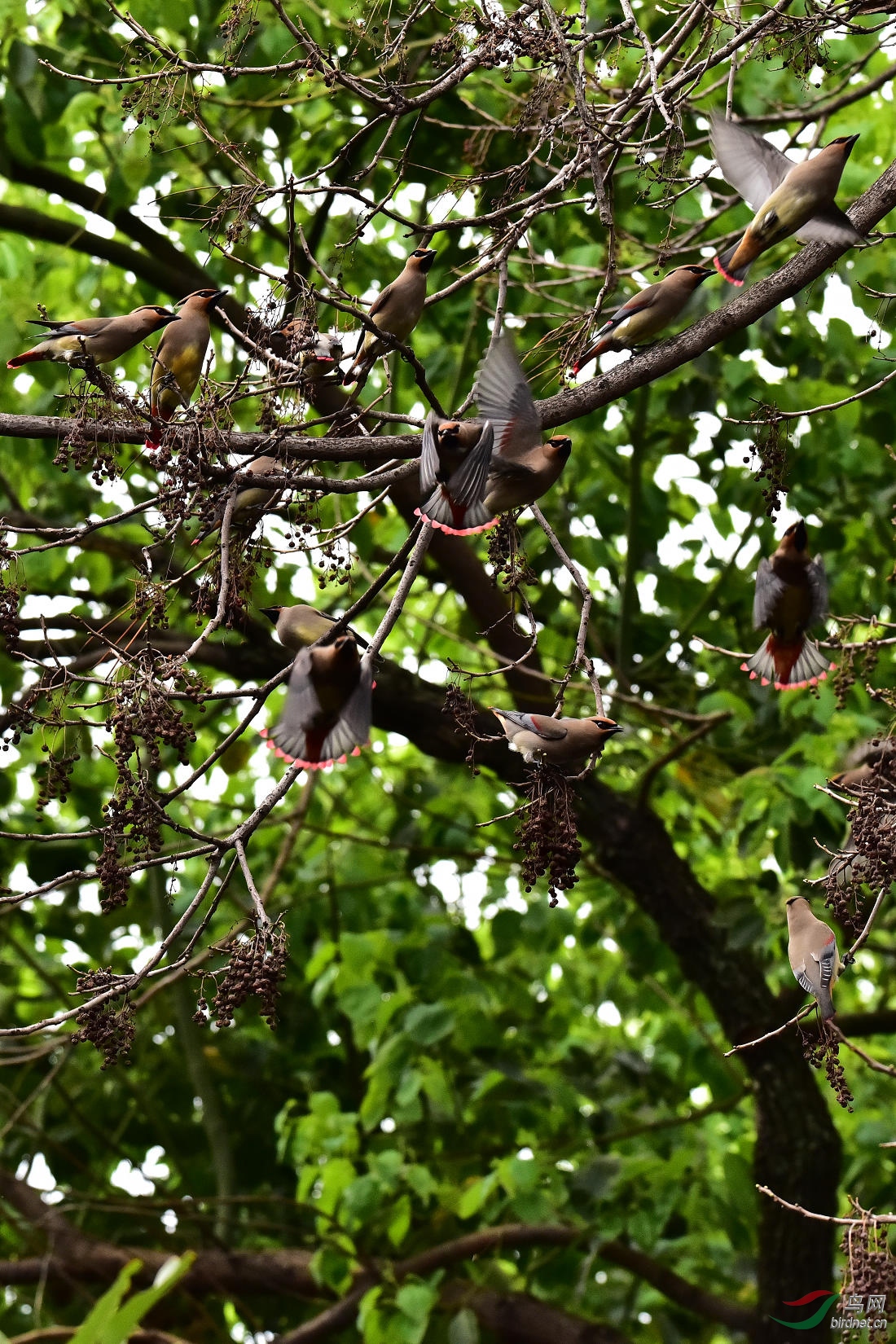 DSC_0066.JPG