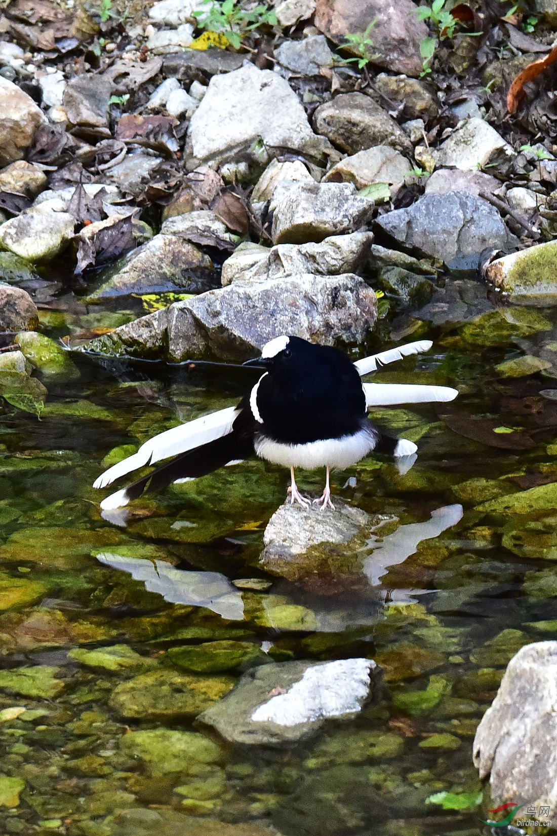 DSC_1195.JPG