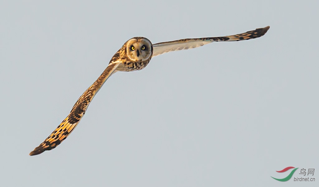 DSC_8915-0.jpg