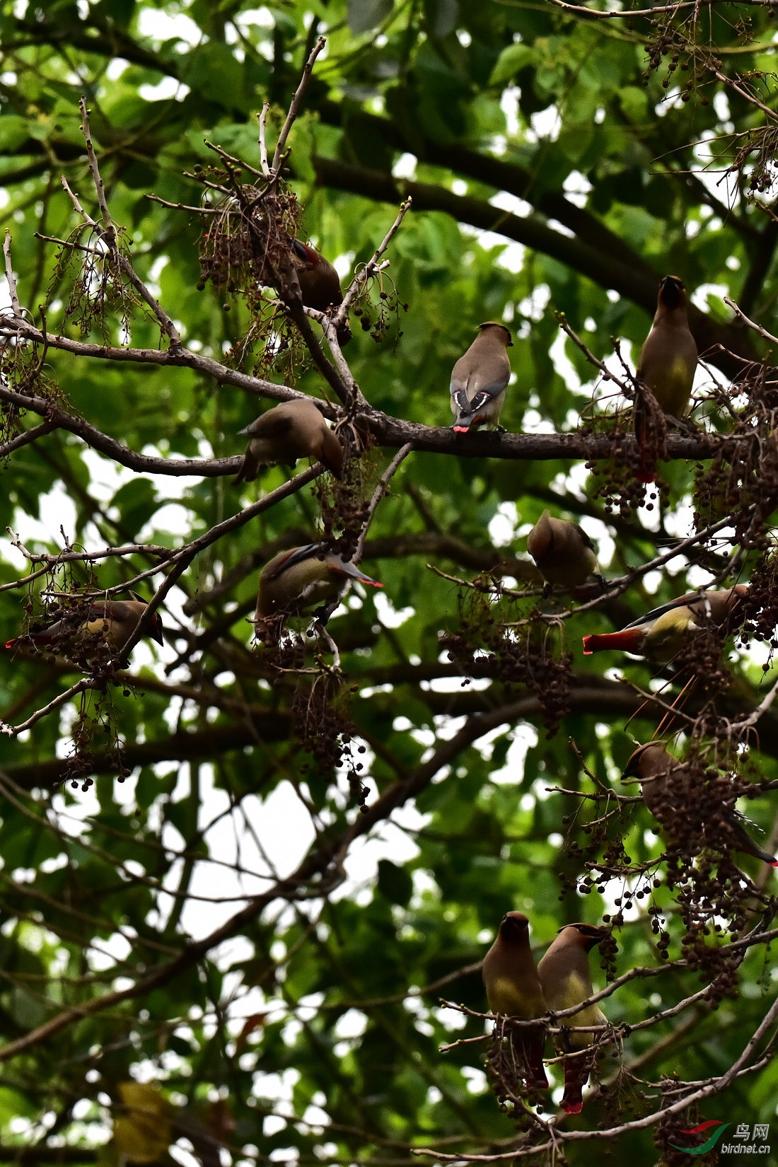 DSC_0068.JPG