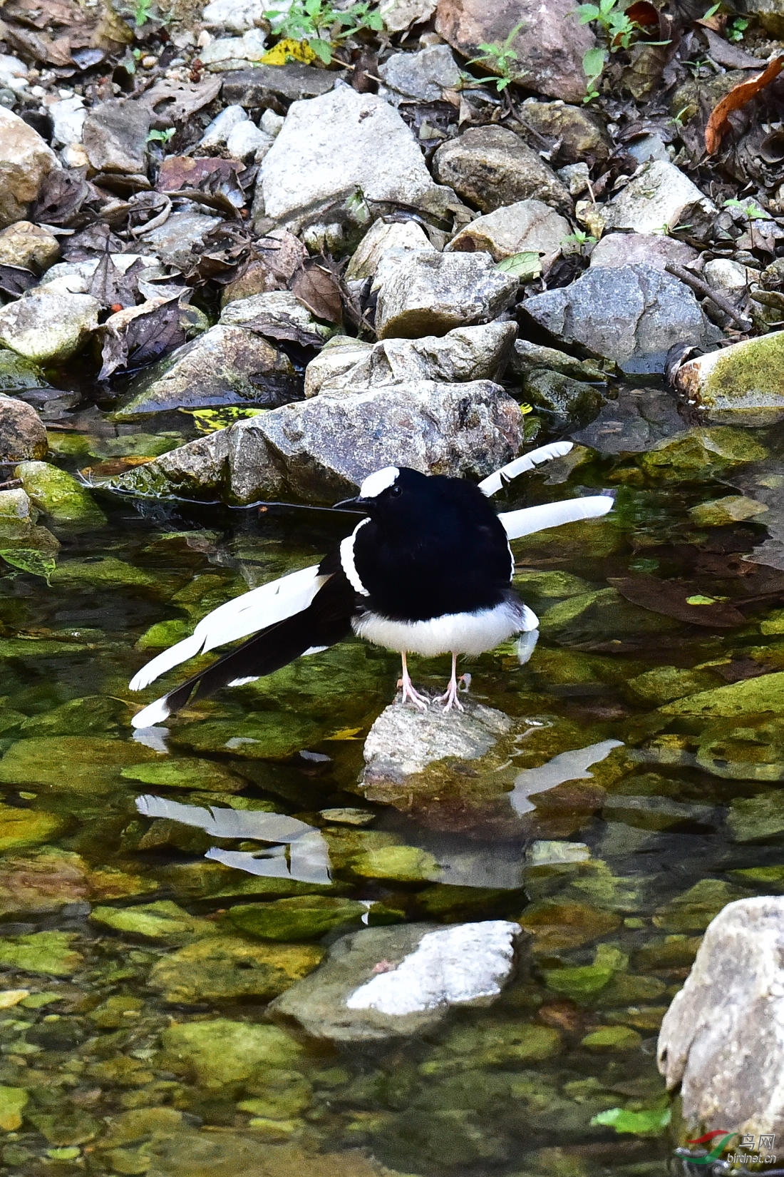 DSC_1197.JPG