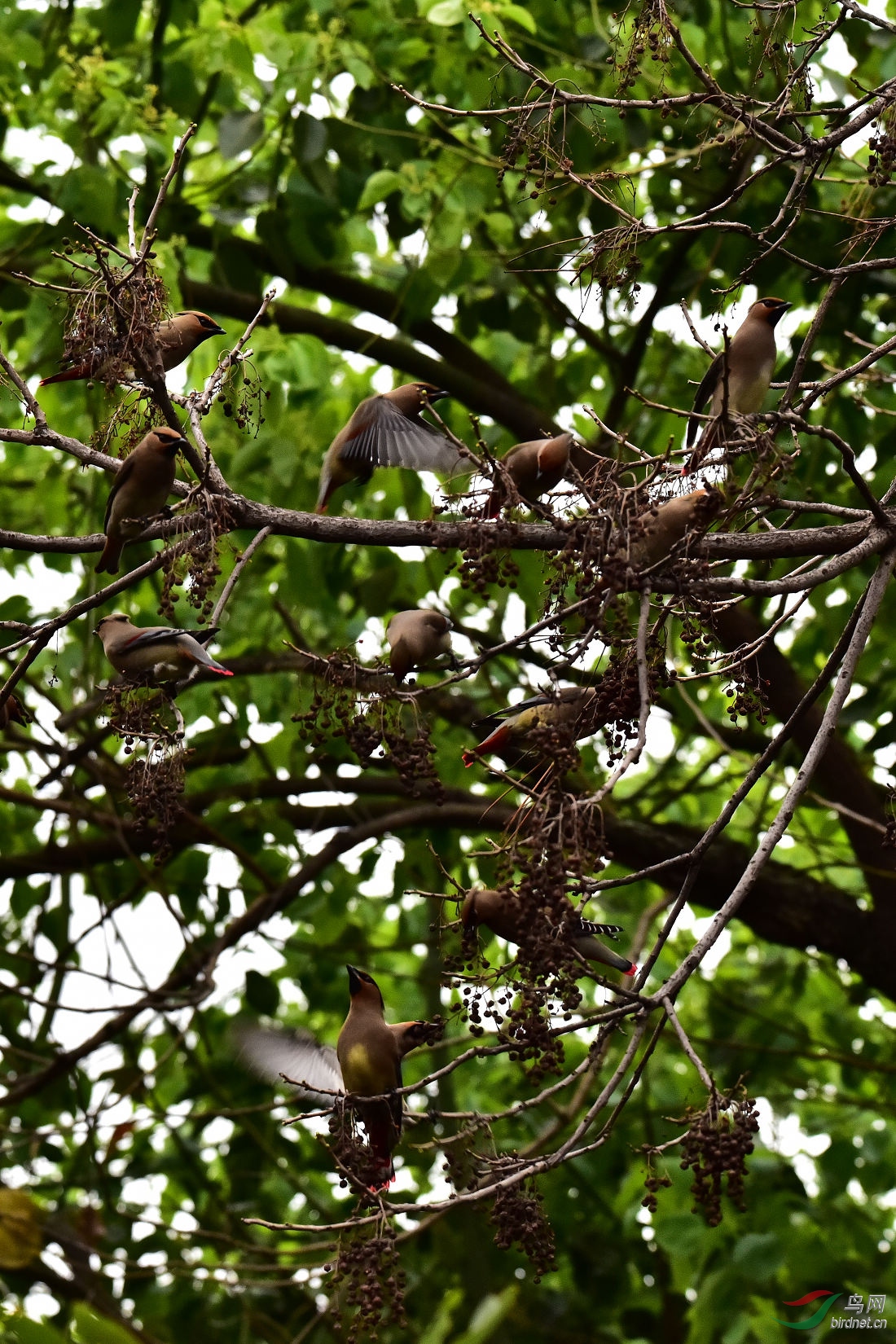 DSC_0070.JPG