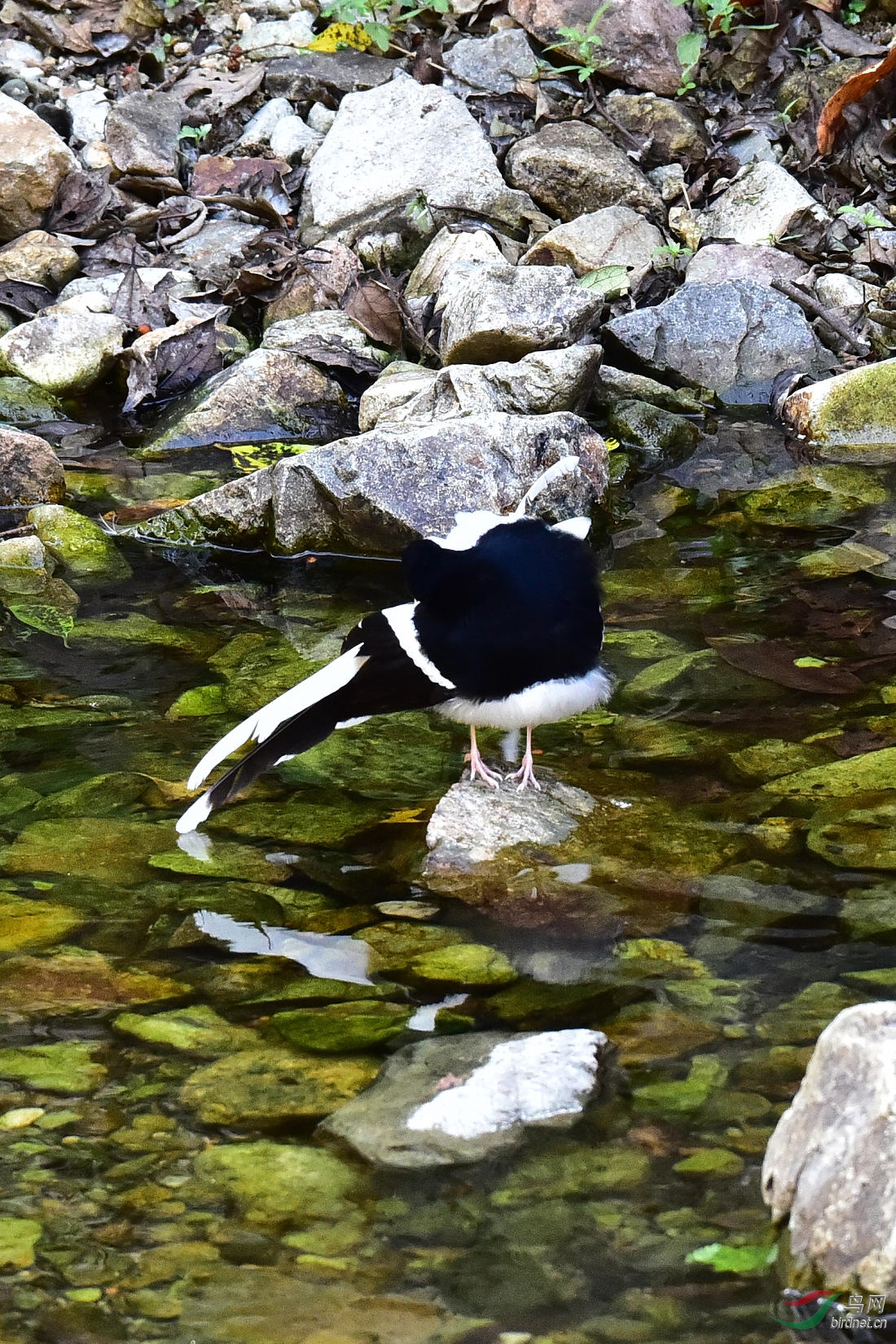 DSC_1199.JPG