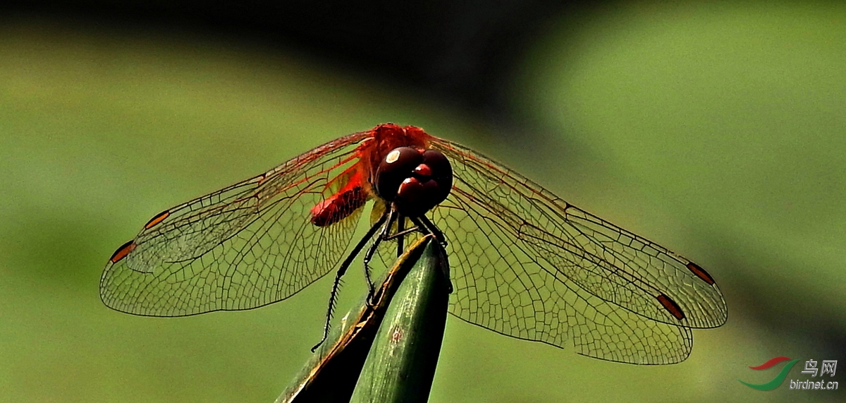 DSCN6798.JPG