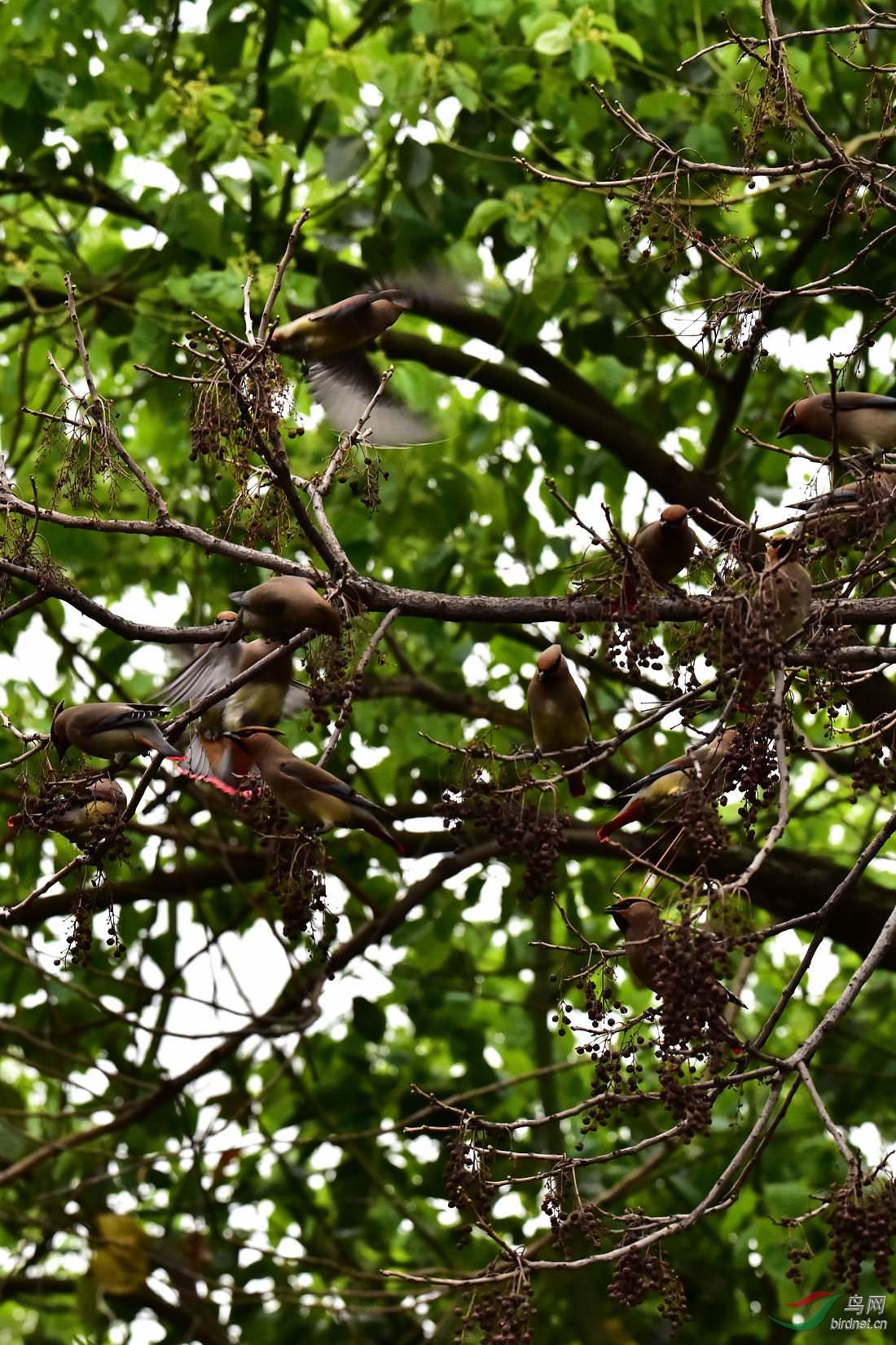 DSC_0073.JPG