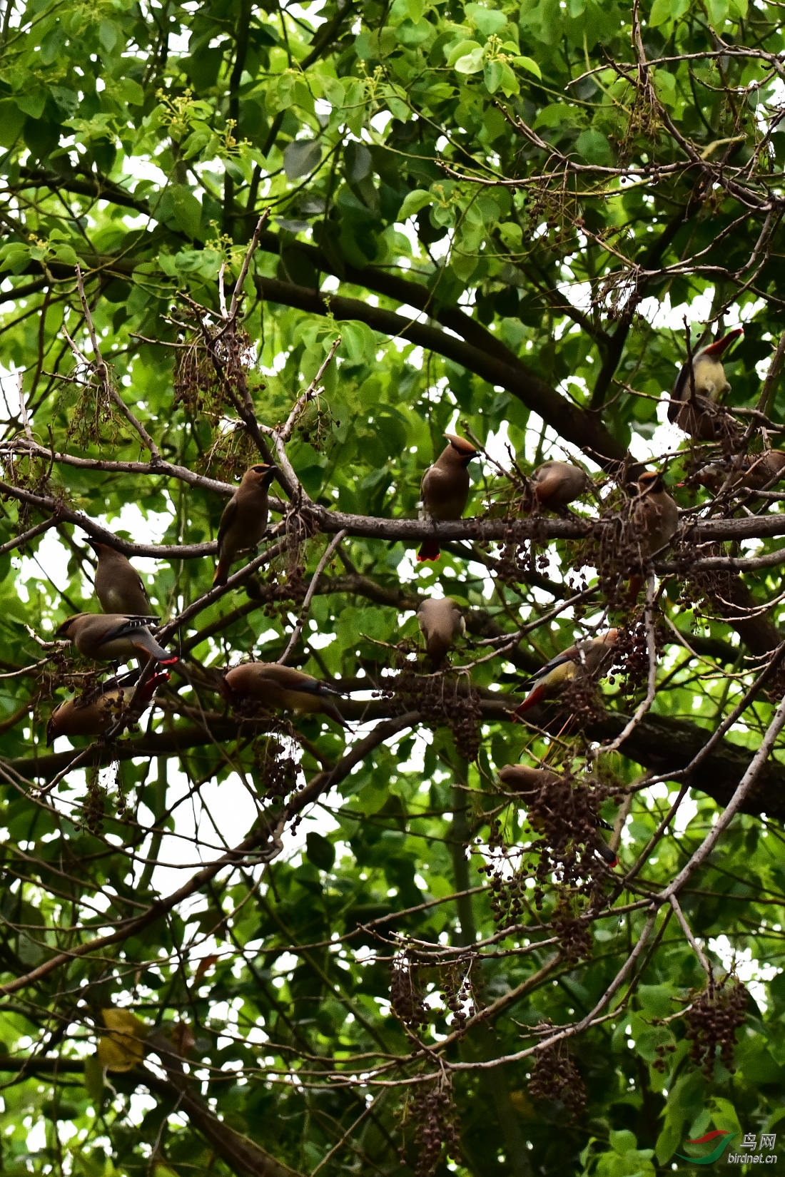 DSC_0074.JPG