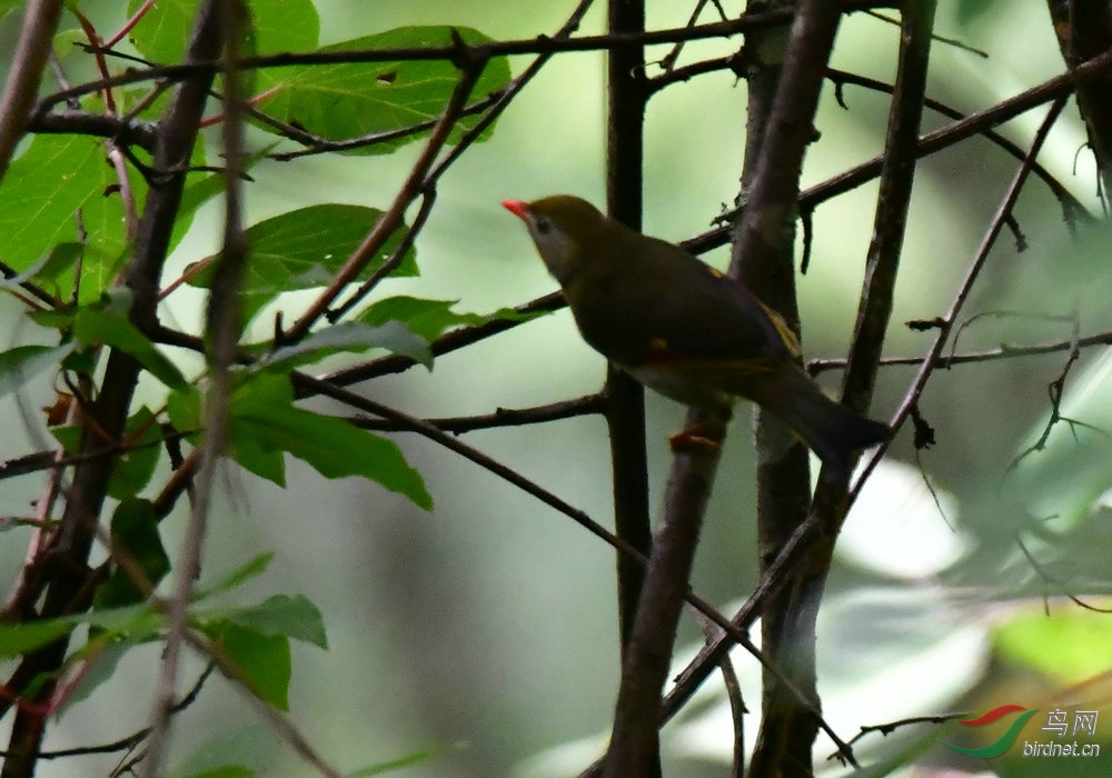 DSC_5445.JPG