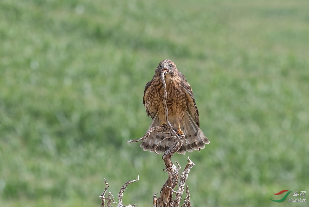 ���̻���