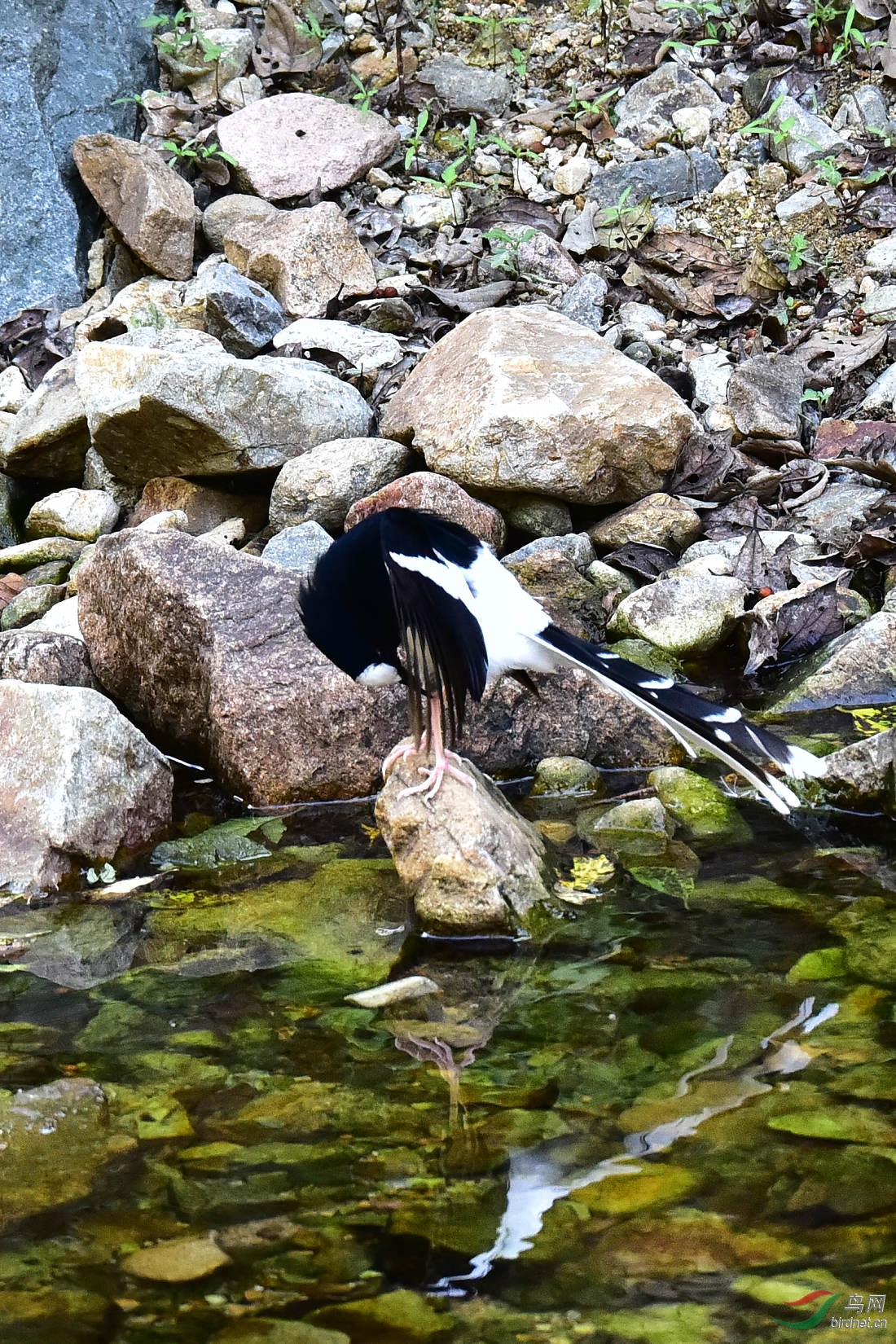 DSC_1206.JPG